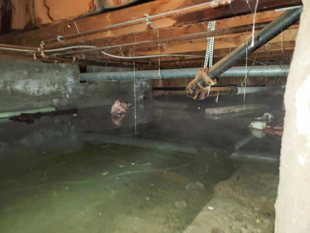 Best Emergency water damage restoration  in Dike, IA