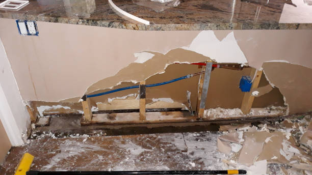 Best Residential water damage restoration  in Dike, IA