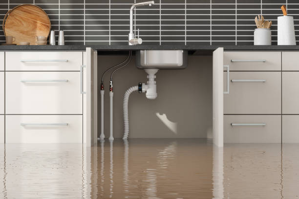 Best Commercial water damage restoration  in Dike, IA