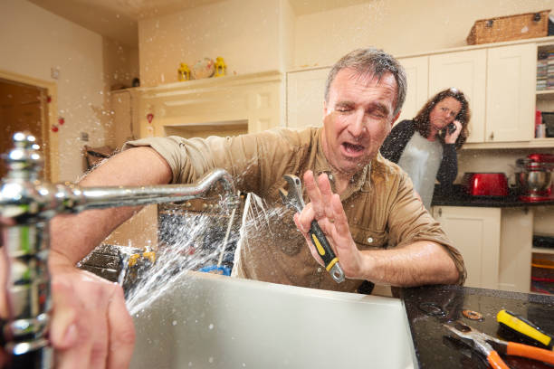 Best Mold removal after water damage  in Dike, IA